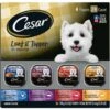Cesar Loaf In Sauce Variety Pack Grain-Free Small Breed Adult Wet Dog Food Trays 1 Cesar Loaf In Sauce Variety Pack Grain-Free Small Breed Adult Wet Dog Food Trays -Blue Buffalos Shop 128531 MAIN. AC SS1800 V1695653229