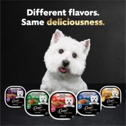 Cesar Loaf In Sauce Variety Pack Grain-Free Small Breed Adult Wet Dog Food Trays -Blue Buffalos Shop 128531 PT7. AC SS1800 V1695666299