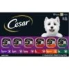Cesar Classic Loaf In Sauce Variety Pack Grain-Free Small Breed Adult Wet Dog Food Trays -Blue Buffalos Shop 128536 MAIN. AC SS1800 V1695648821