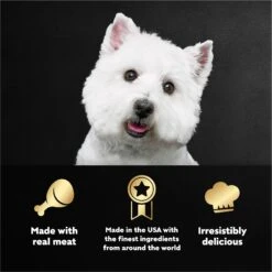 Cesar Steak Lovers Variety Pack Small Breed Adult Wet Dog Food Trays 15 Cesar Steak Lovers Variety Pack Small Breed Adult Wet Dog Food Trays -Blue Buffalos Shop 128539 PT4. AC SS1800 V1695750250