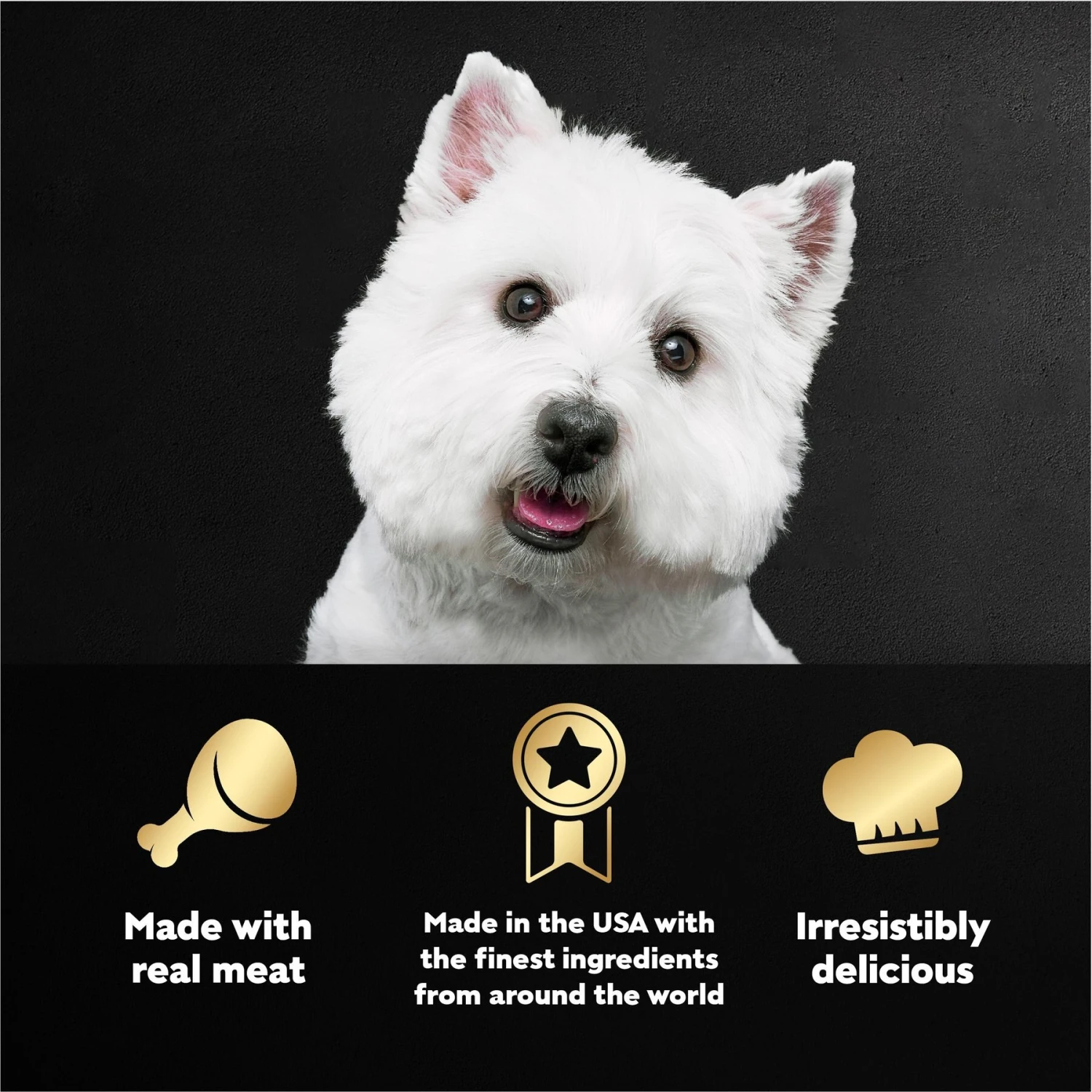 Cesar Steak Lovers Variety Pack Small Breed Adult Wet Dog Food Trays 7 Cesar Steak Lovers Variety Pack Small Breed Adult Wet Dog Food Trays - Image 5