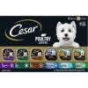 Cesar Poultry Lovers Variety Pack Small Breed Adult Wet Dog Food Trays 2 Cesar Poultry Lovers Variety Pack Small Breed Adult Wet Dog Food Trays -Blue Buffalos Shop 128541 MAIN. AC SS1800 V1695648878