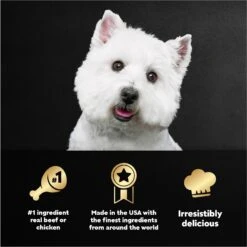 Cesar Steak & Poultry Lovers Variety Pack Small Breed Adult Wet Dog Food Trays 15 Cesar Steak & Poultry Lovers Variety Pack Small Breed Adult Wet Dog Food Trays -Blue Buffalos Shop 128543 PT4. AC SS1800 V1695676346