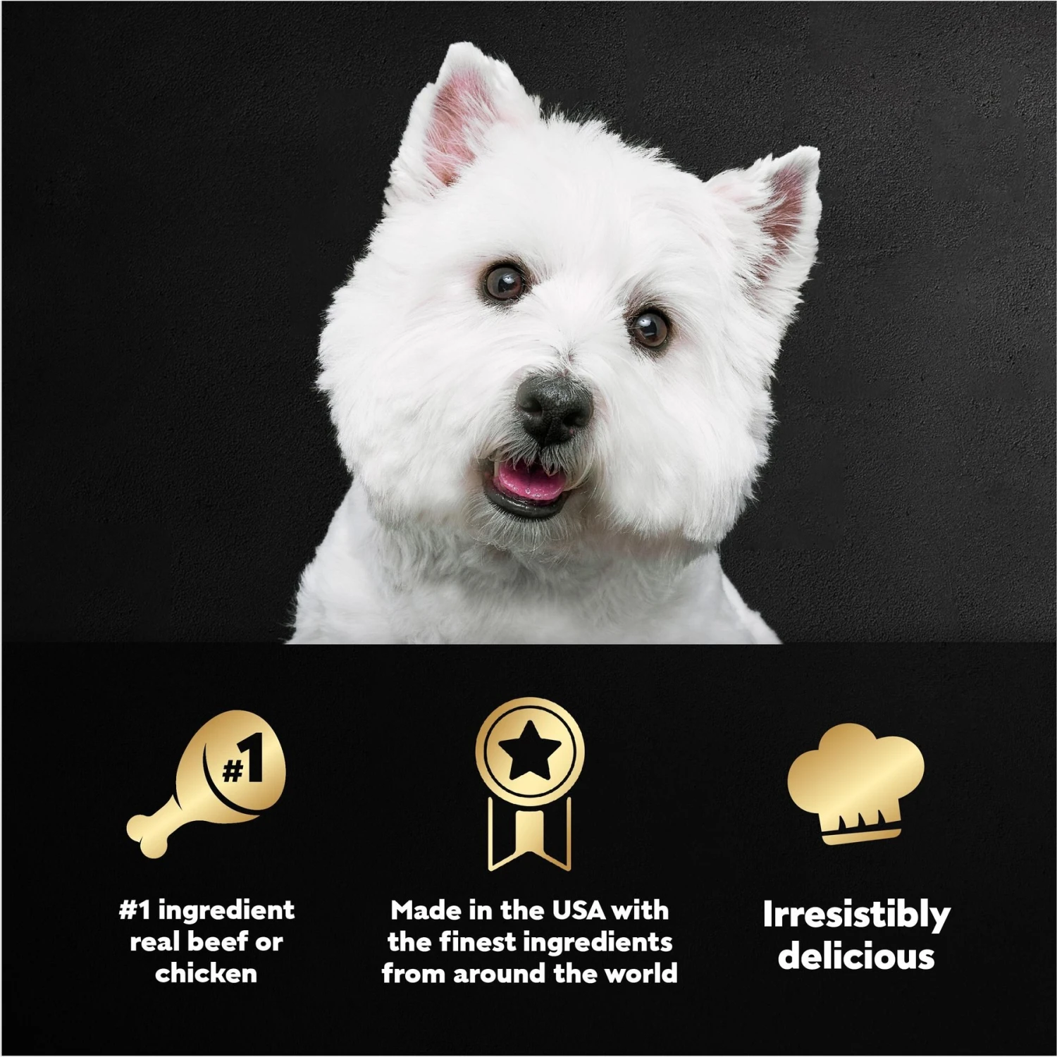 Cesar Steak & Poultry Lovers Variety Pack Small Breed Adult Wet Dog Food Trays 7 Cesar Steak & Poultry Lovers Variety Pack Small Breed Adult Wet Dog Food Trays - Image 5