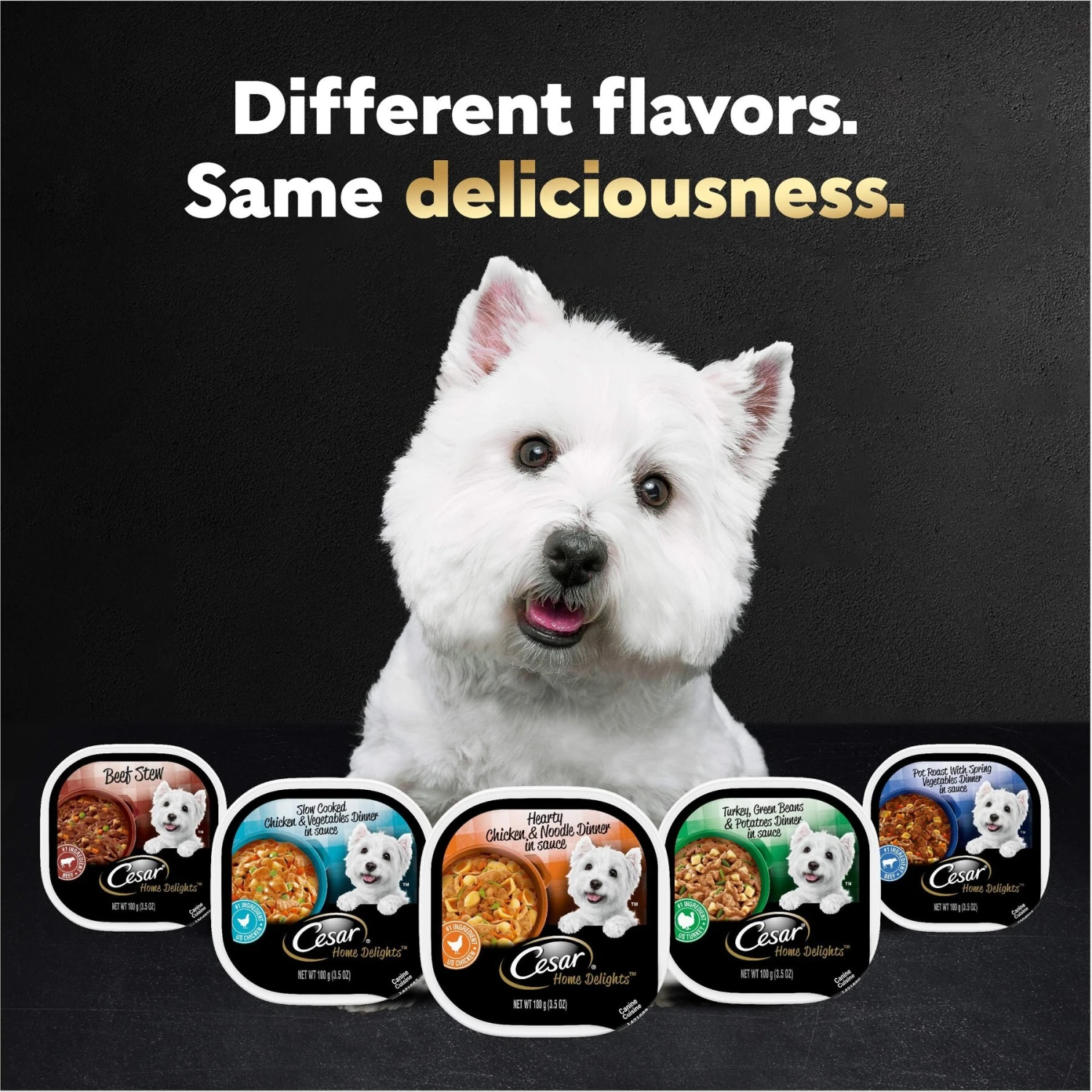 Cesar Steak & Poultry Lovers Variety Pack Small Breed Adult Wet Dog Food Trays 11 Cesar Steak & Poultry Lovers Variety Pack Small Breed Adult Wet Dog Food Trays - Image 9