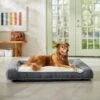 Frisco Plush Orthopedic Bolster Dog Bed W/Removable Cover -Blue Buffalos Shop 129511 MAIN. AC SS1800 V1674157635