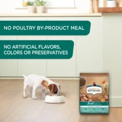 Rachael Ray Nutrish Bright Puppy Natural Real Chicken & Brown Rice Recipe Dry Dog Food -Blue Buffalos Shop 129819 PT4. AC SS1800 V1657655411