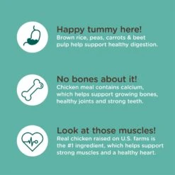 Rachael Ray Nutrish Bright Puppy Natural Real Chicken & Brown Rice Recipe Dry Dog Food -Blue Buffalos Shop 129819 PT5. AC SS1800 V1657655411