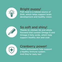 Rachael Ray Nutrish Bright Puppy Natural Real Chicken & Brown Rice Recipe Dry Dog Food -Blue Buffalos Shop 129819 PT6. AC SS1800 V1657655411