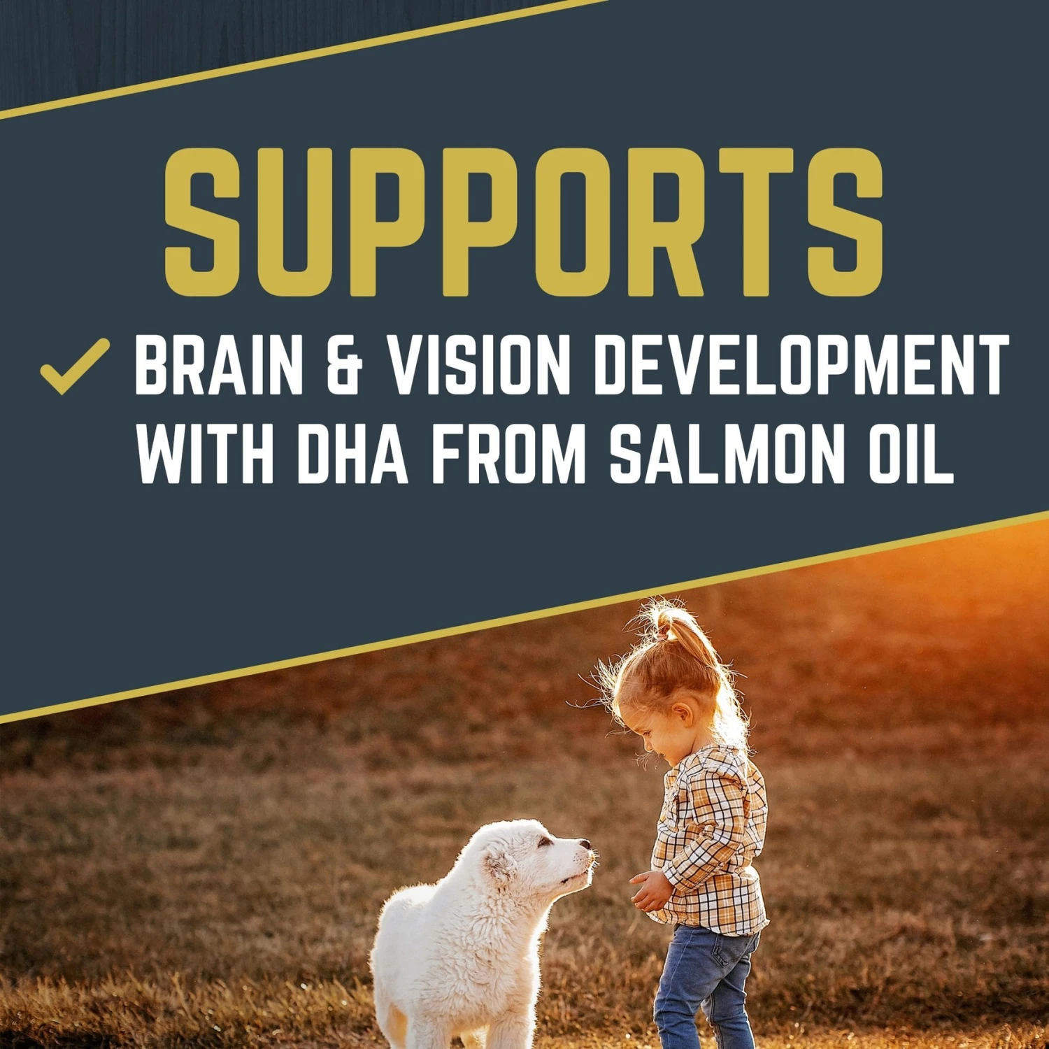 Black Gold Explorer Puppy Formula Dry Dog Food 4 Black Gold Explorer Puppy Formula Dry Dog Food - Image 2