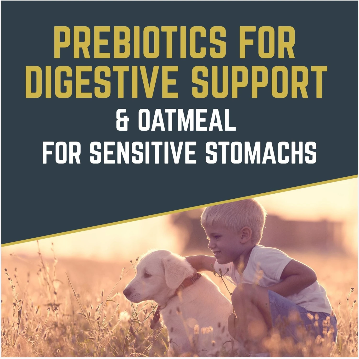 Black Gold Explorer Puppy Formula Dry Dog Food 7 Black Gold Explorer Puppy Formula Dry Dog Food - Image 5