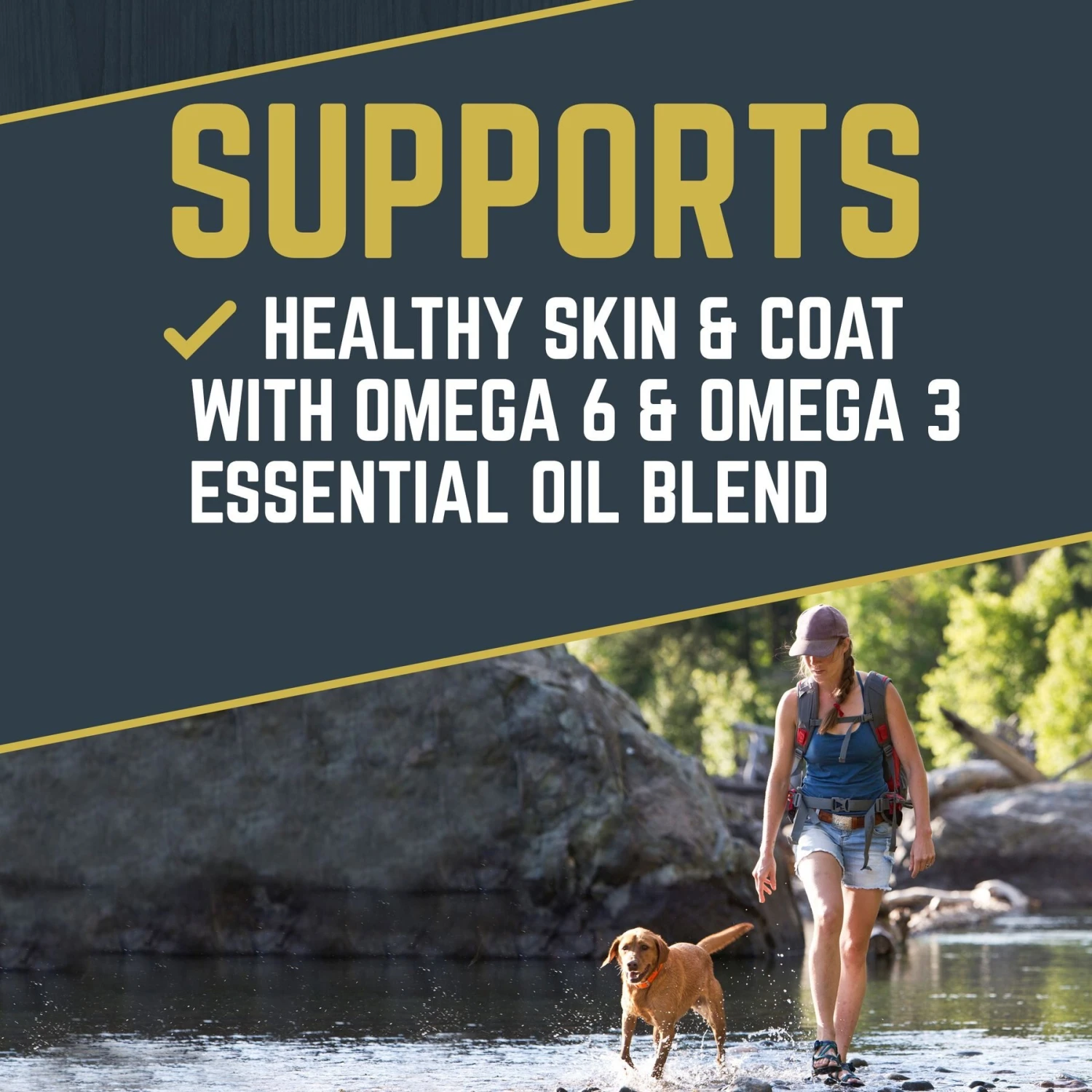 Black Gold Explorer Sensitive Skin & Coat Ocean Fish Meal & Oat Recipe Dry Dog Food, 40-lb Bag 4 Black Gold Explorer Sensitive Skin & Coat Ocean Fish Meal & Oat Recipe Dry Dog Food, 40-lb Bag - Image 2