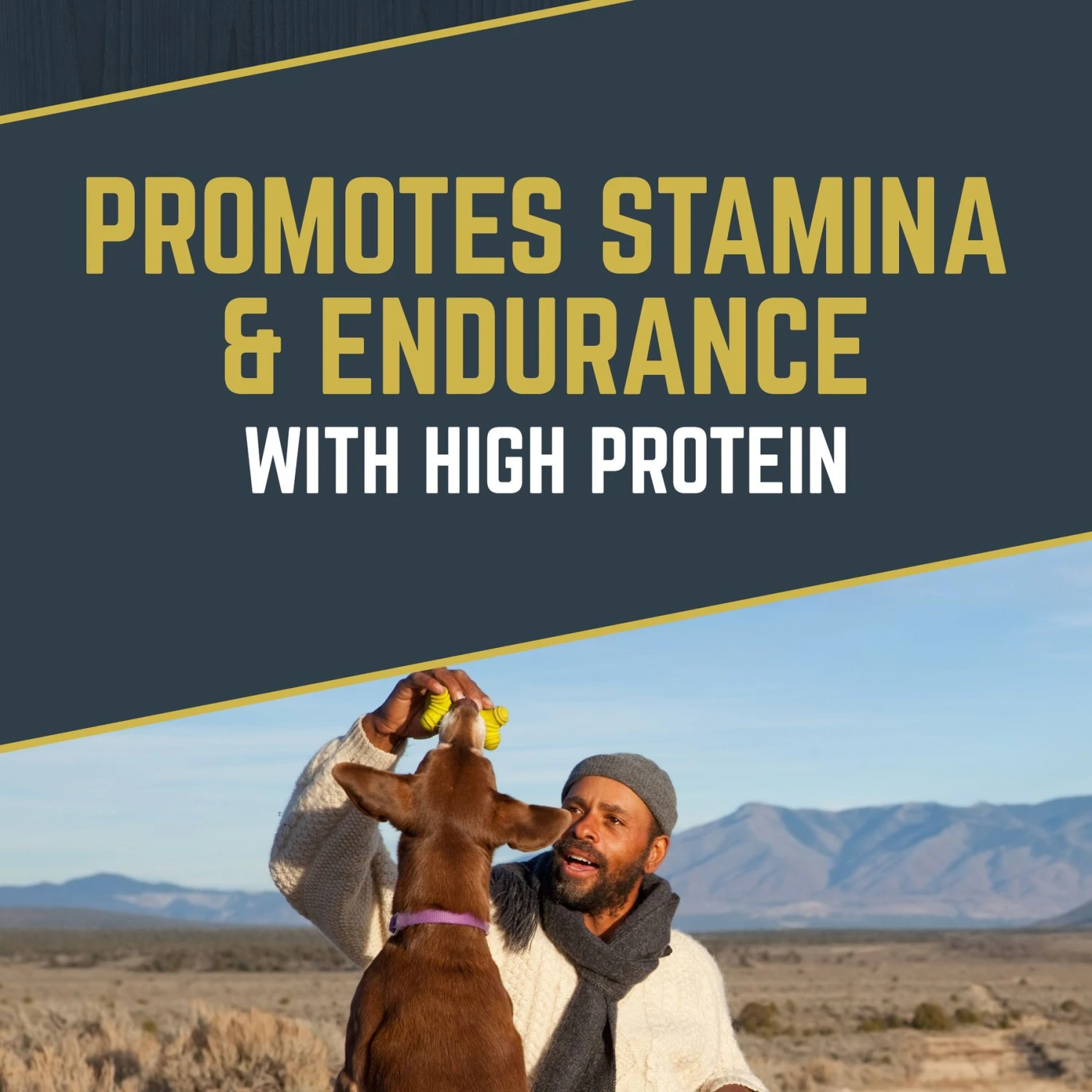 Black Gold Explorer Sensitive Skin & Coat Ocean Fish Meal & Oat Recipe Dry Dog Food, 40-lb Bag 5 Black Gold Explorer Sensitive Skin & Coat Ocean Fish Meal & Oat Recipe Dry Dog Food, 40-lb Bag - Image 3