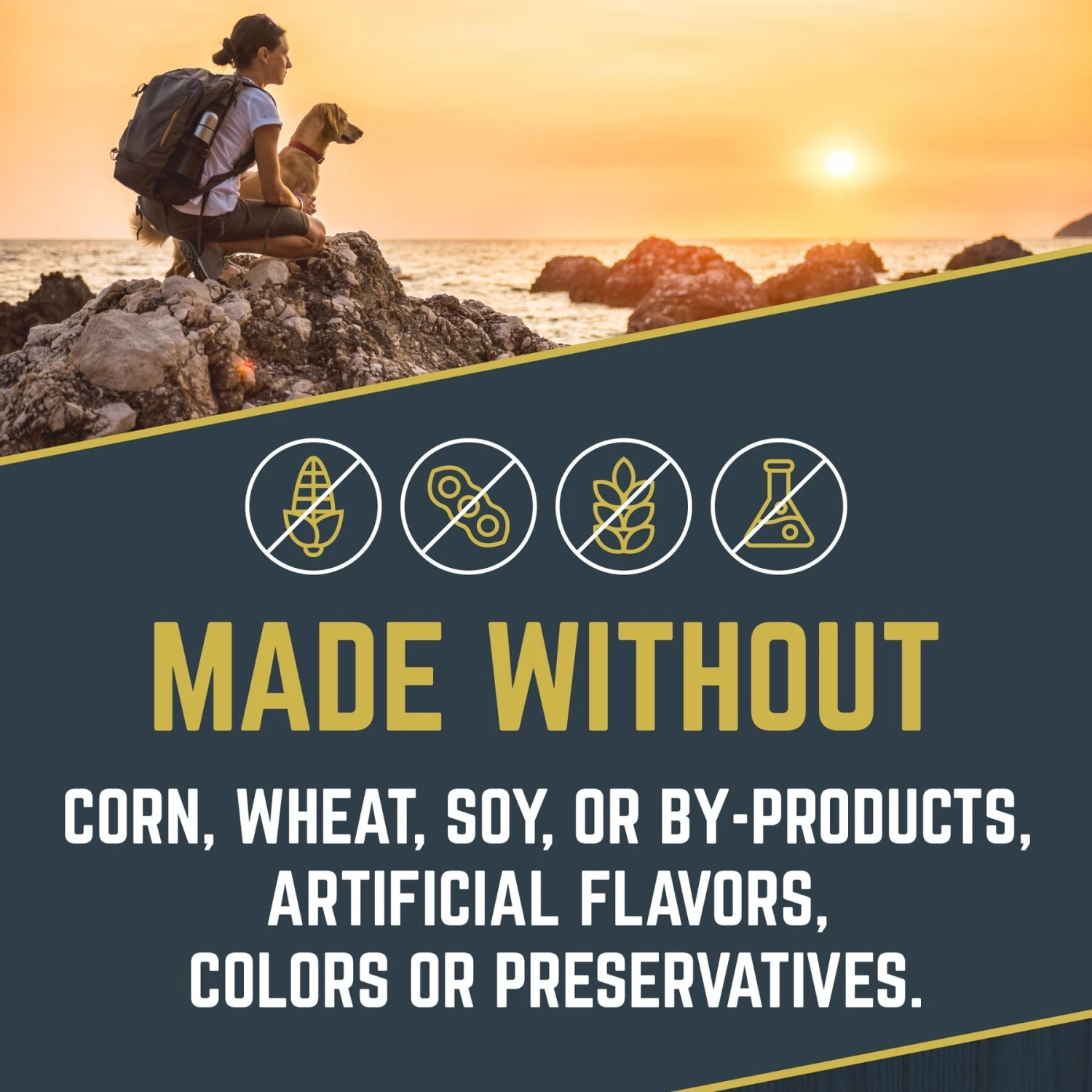 Black Gold Explorer Sensitive Skin & Coat Ocean Fish Meal & Oat Recipe Dry Dog Food, 40-lb Bag 6 Black Gold Explorer Sensitive Skin & Coat Ocean Fish Meal & Oat Recipe Dry Dog Food, 40-lb Bag - Image 4