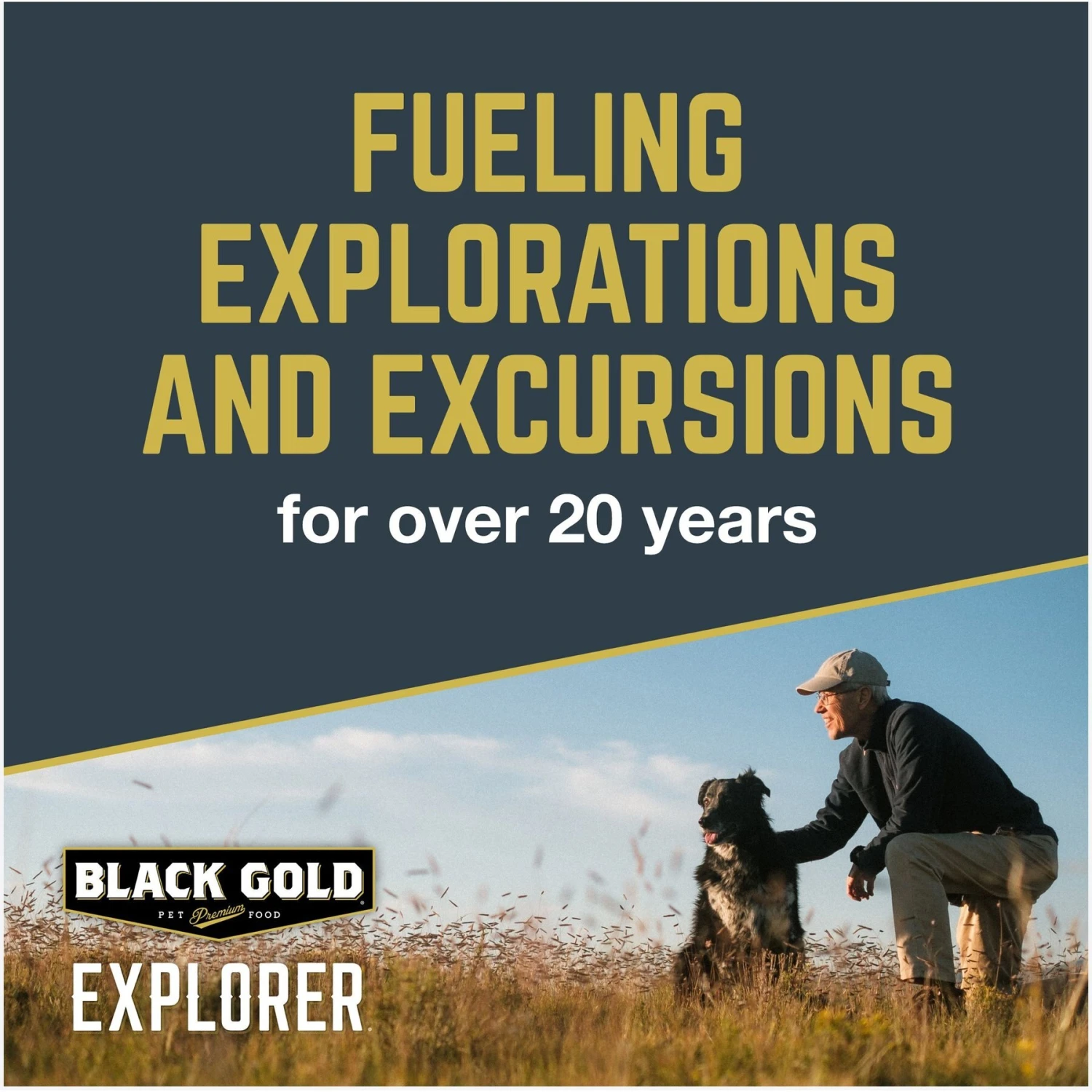 Black Gold Explorer Sensitive Skin & Coat Ocean Fish Meal & Oat Recipe Dry Dog Food, 40-lb Bag 8 Black Gold Explorer Sensitive Skin & Coat Ocean Fish Meal & Oat Recipe Dry Dog Food, 40-lb Bag - Image 6