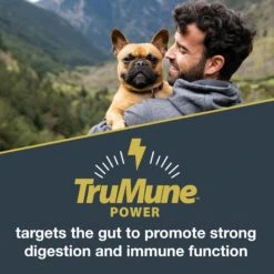 Black Gold Explorer Mature 7+ Formula Dry Dog Food, 40-lb Bag -Blue Buffalos Shop 133069 PT3. AC SS1800 V1652742713