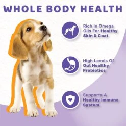 Halo Chicken Recipe Grain-Free Puppy Canned Dog Food 12 Halo Chicken Recipe Grain-Free Puppy Canned Dog Food -Blue Buffalos Shop 133085 PT4. AC SS1800 V1625582615