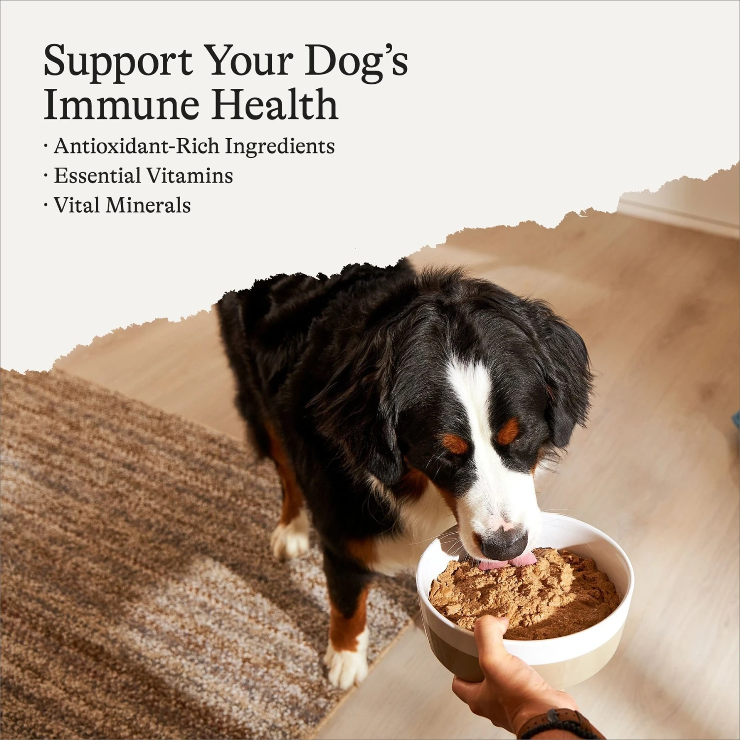 American Journey Beef & Chicken Recipe Grain-Free Canned Dog Food 4 American Journey Beef & Chicken Recipe Grain-Free Canned Dog Food - Image 2