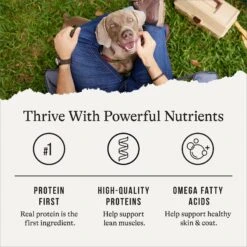 American Journey Beef & Chicken Recipe Grain-Free Canned Dog Food 16 American Journey Beef & Chicken Recipe Grain-Free Canned Dog Food -Blue Buffalos Shop 133849 PT5. AC SS1800 V1696608329