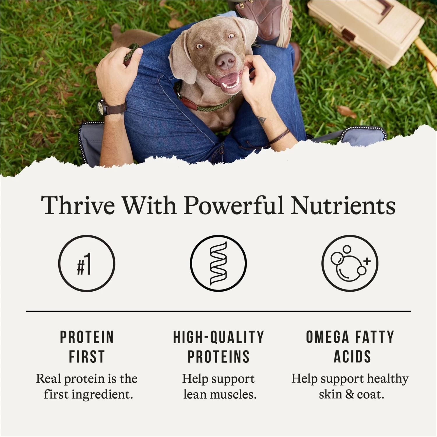 American Journey Beef & Chicken Recipe Grain-Free Canned Dog Food 8 American Journey Beef & Chicken Recipe Grain-Free Canned Dog Food - Image 6