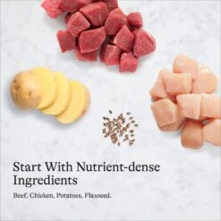 American Journey Beef & Chicken Recipe Grain-Free Canned Dog Food 17 American Journey Beef & Chicken Recipe Grain-Free Canned Dog Food -Blue Buffalos Shop 133849 PT6. AC SS1800 V1696608329