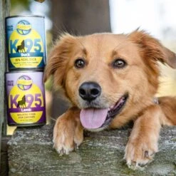 Earthborn Holistic K95 Lamb Recipe Grain-Free Canned Dog Food 17 Earthborn Holistic K95 Lamb Recipe Grain-Free Canned Dog Food -Blue Buffalos Shop 135406 PT7. AC SS1800 V1633564573