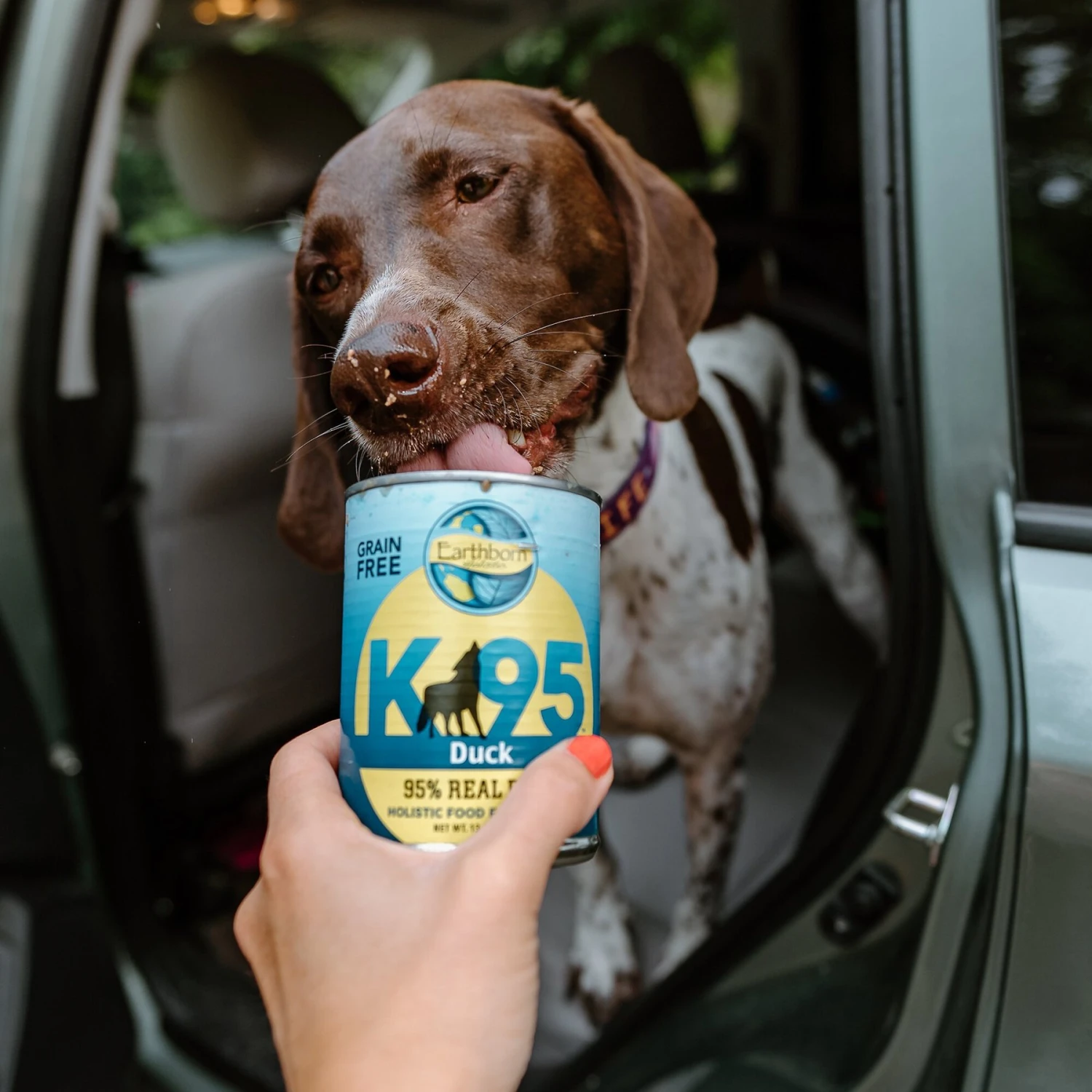 Earthborn Holistic K95 Duck Recipe Grain-Free Canned Dog Food 10 Earthborn Holistic K95 Duck Recipe Grain-Free Canned Dog Food - Image 8