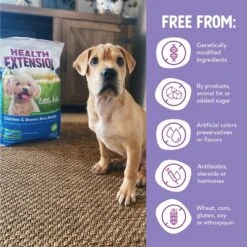 Health Extension Little Bites Chicken & Brown Rice Recipe Dry Dog Food 16 Health Extension Little Bites Chicken & Brown Rice Recipe Dry Dog Food -Blue Buffalos Shop 135733 PT6. AC SS1800 V1595628353