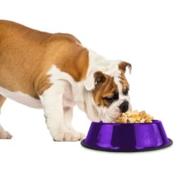 Platinum Pets Non-Skid Stainless Steel Embossed Dog & Cat Bowl -Blue Buffalos Shop 135811 PT1. AC SS1800 V1503944589