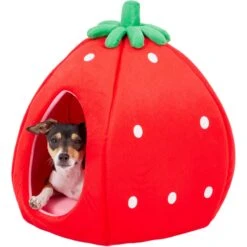 YML Strawberry Covered Cat & Dog Bed -Blue Buffalos Shop 138280 PT4. AC SS1800 V1566337660