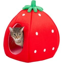 YML Strawberry Covered Cat & Dog Bed -Blue Buffalos Shop 138280 PT5. AC SS1800 V1566337727