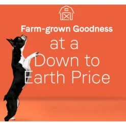 CANIDAE Under The Sun Grain-Free Lamb Recipe Adult Dry Dog Food 14 CANIDAE Under The Sun Grain-Free Lamb Recipe Adult Dry Dog Food -Blue Buffalos Shop 138974 PT4. AC SS1800 V1661192778