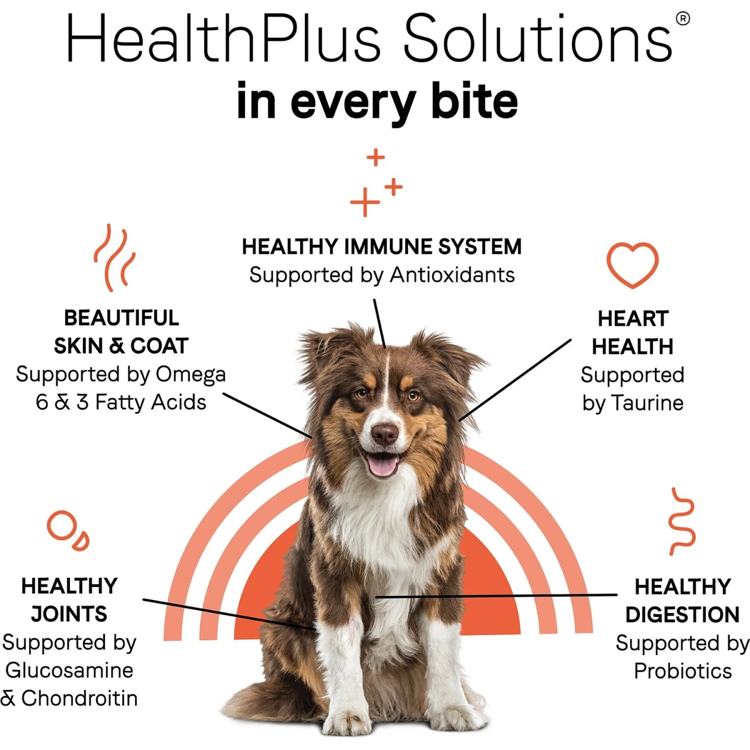 CANIDAE Under The Sun Grain-Free Lamb Recipe Adult Dry Dog Food 8 CANIDAE Under The Sun Grain-Free Lamb Recipe Adult Dry Dog Food - Image 6