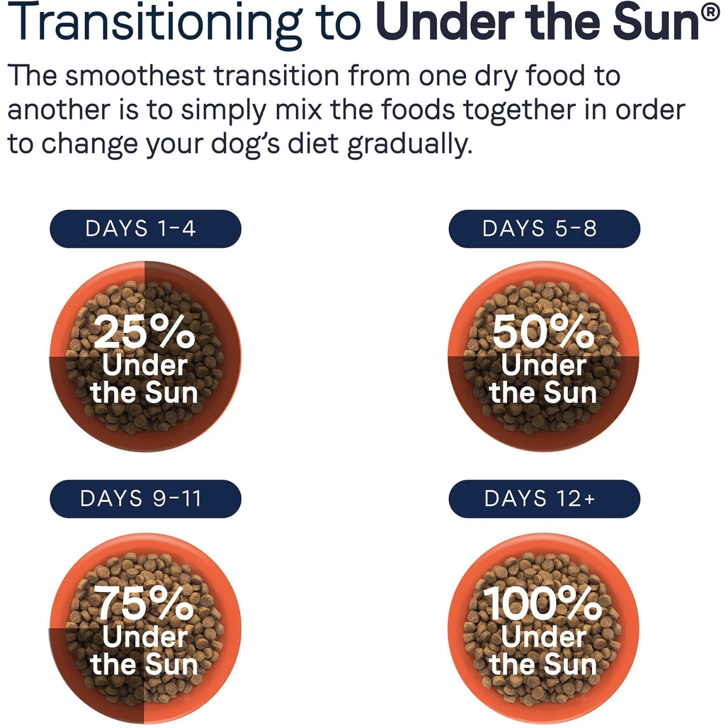 CANIDAE Under The Sun Grain-Free Lamb Recipe Adult Dry Dog Food 10 CANIDAE Under The Sun Grain-Free Lamb Recipe Adult Dry Dog Food - Image 8
