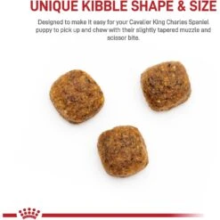 Royal Canin Breed Health Nutrition Cavalier King Charles Puppy Dry Dog Food 14 Royal Canin Breed Health Nutrition Cavalier King Charles Puppy Dry Dog Food -Blue Buffalos Shop 138986 PT3. AC SS1800 V1700161978