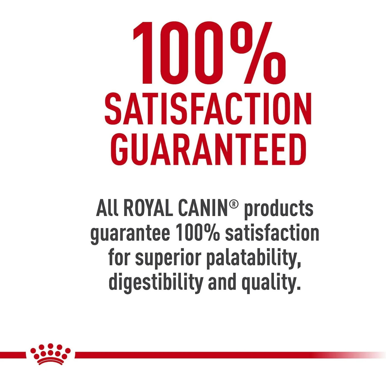 Royal Canin Breed Health Nutrition Cavalier King Charles Puppy Dry Dog Food 10 Royal Canin Breed Health Nutrition Cavalier King Charles Puppy Dry Dog Food - Image 8
