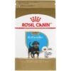 Royal Canin Breed Health Nutrition Rottweiler Puppy Dry Dog Food -Blue Buffalos Shop 139004 MAIN. AC SS1800 V1697139170