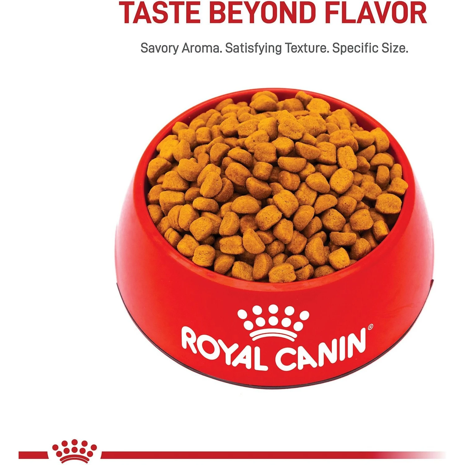 Royal Canin Breed Health Nutrition Rottweiler Puppy Dry Dog Food 4 Royal Canin Breed Health Nutrition Rottweiler Puppy Dry Dog Food - Image 2