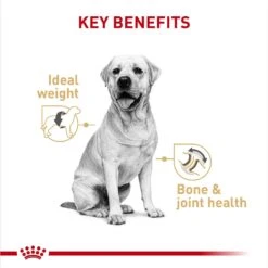 Royal Canin Breed Health Nutrition Labrador Retriever Adult Loaf In Sauce Canned Dog Food 13 Royal Canin Breed Health Nutrition Labrador Retriever Adult Loaf In Sauce Canned Dog Food -Blue Buffalos Shop 139012 PT2. AC SS1800 V1697217052