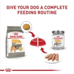 Royal Canin Canine Care Nutrition Medium Sensitive Skin Care Dry Dog Food -Blue Buffalos Shop 140503 PT5. AC SS1800 V1697212765