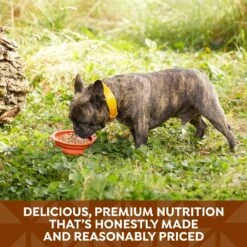 Nature's Recipe Chicken & Turkey Recipe In Broth Wet Dog Food -Blue Buffalos Shop 140963 PT4. AC SS1800 V1682091799