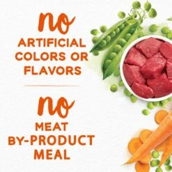 Purina Beneful Simple Goodness With Farm-Raised Beef Dry Dog Food 17 Purina Beneful Simple Goodness With Farm-Raised Beef Dry Dog Food -Blue Buffalos Shop 141256 PT6. AC SS1800 V1695736093