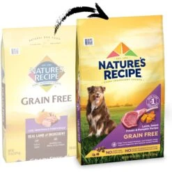 Nature's Recipe Grain-Free Lamb, Sweet Potato & Pumpkin Recipe Dry Dog Food 12 Nature's Recipe Grain-Free Lamb, Sweet Potato & Pumpkin Recipe Dry Dog Food -Blue Buffalos Shop 142290 PT1. AC SS1800 V1672842440