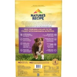 Nature's Recipe Grain-Free Lamb, Sweet Potato & Pumpkin Recipe Dry Dog Food 13 Nature's Recipe Grain-Free Lamb, Sweet Potato & Pumpkin Recipe Dry Dog Food -Blue Buffalos Shop 142290 PT2. AC SS1800 V1672842507