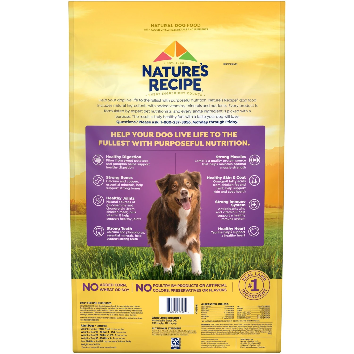 Nature's Recipe Grain-Free Lamb, Sweet Potato & Pumpkin Recipe Dry Dog Food 5 Nature's Recipe Grain-Free Lamb, Sweet Potato & Pumpkin Recipe Dry Dog Food - Image 3