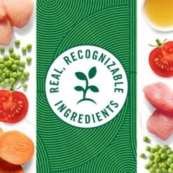 Nutro Grain-Free Tender Chicken Stew & Roasted Turkey Stew Cuts In Gravy Variety Pack Wet Dog Food Trays -Blue Buffalos Shop 143050 PT4. AC SS1800 V1691419397