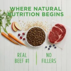 Instinct Be Natural Real Beef & Barley Recipe Freeze-Dried Raw Coated Dry Dog Food -Blue Buffalos Shop 143164 PT3. AC SS1800 V1578521906