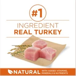 Purina ONE +Plus Adult High-Protein Healthy Weight Formula Dry Dog Food -Blue Buffalos Shop 143260 PT3. AC SS1800 V1676319353