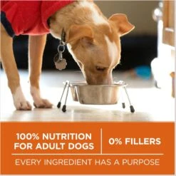Purina ONE +Plus Adult High-Protein Healthy Weight Formula Dry Dog Food -Blue Buffalos Shop 143260 PT6. AC SS1800 V1676317799