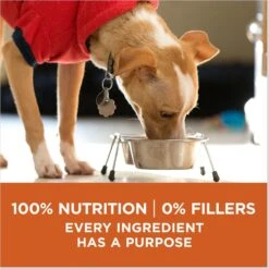 Purina ONE +Plus Adult High-Protein Healthy Weight Formula Dry Dog Food -Blue Buffalos Shop 143260 PT7. AC SS1800 V1676321125